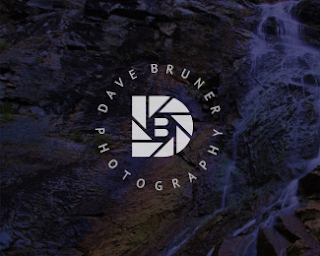 3. Dave Bruner Logo