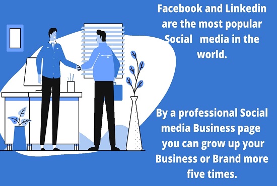 Create, setup and optimize facebook business page and linkedin business page