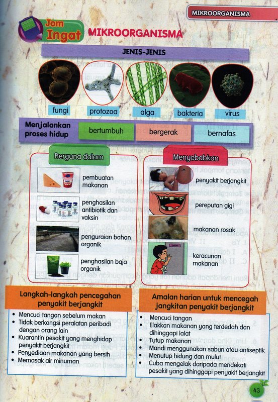 Dunia Sains 2019