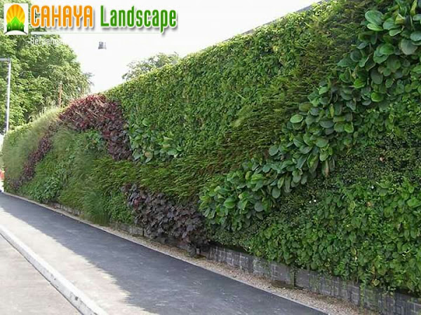 Jasa Pembuatan Taman Vertical Garden/Taman Dinding