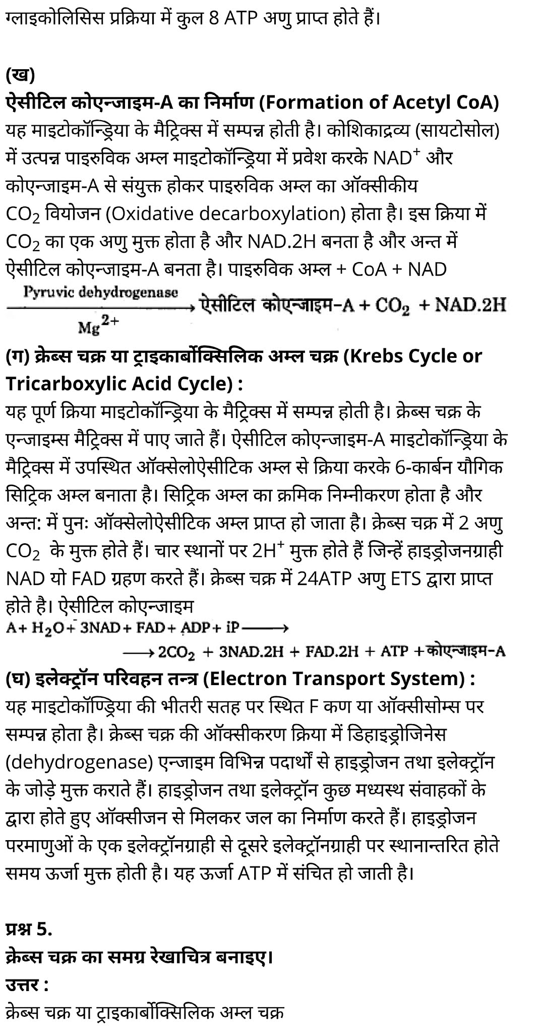 कक्षा 11 जीव विज्ञान अध्याय 14 के नोट्स हिंदी में एनसीईआरटी समाधान,   class 11 Biology Chapter 14,  class 11 Biology Chapter 14 ncert solutions in hindi,  class 11 Biology Chapter 14 notes in hindi,  class 11 Biology Chapter 14 question answer,  class 11 Biology Chapter 14 notes,  11   class Biology Chapter 14 in hindi,  class 11 Biology Chapter 14 in hindi,  class 11 Biology Chapter 14 important questions in hindi,  class 11 Biology notes in hindi,  class 11 Biology Chapter 14 test,  class 11 BiologyChapter 14 pdf,  class 11 Biology Chapter 14 notes pdf,  class 11 Biology Chapter 14 exercise solutions,  class 11 Biology Chapter 14, class 11 Biology Chapter 14 notes study rankers,  class 11 Biology Chapter 14 notes,  class 11 Biology notes,   Biology  class 11  notes pdf,  Biology class 11  notes 2021 ncert,  Biology class 11 pdf,  Biology  book,  Biology quiz class 11  ,   11  th Biology    book up board,  up board 11  th Biology notes,  कक्षा 11 जीव विज्ञान अध्याय 14, कक्षा 11 जीव विज्ञान का अध्याय 14 ncert solution in hindi, कक्षा 11 जीव विज्ञान  के अध्याय 14 के नोट्स हिंदी में, कक्षा 11 का जीव विज्ञान अध्याय 14 का प्रश्न उत्तर, कक्षा 11 जीव विज्ञान अध्याय 14 के नोट्स, 11 कक्षा जीव विज्ञान अध्याय 14 हिंदी में,कक्षा 11 जीव विज्ञान  अध्याय 14 हिंदी में, कक्षा 11 जीव विज्ञान  अध्याय 14 महत्वपूर्ण प्रश्न हिंदी में,कक्षा 11 के जीव विज्ञान के नोट्स हिंदी में,जीव विज्ञान  कक्षा 11 नोट्स pdf,