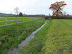 The stream that runs from Ketteringham Lakes down to the River Mul