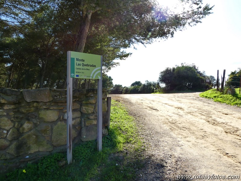 Sendero Las Quebradas (Vejer de la Frontera)