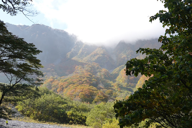 鳥取県西伯郡大山町大山　元谷の風景