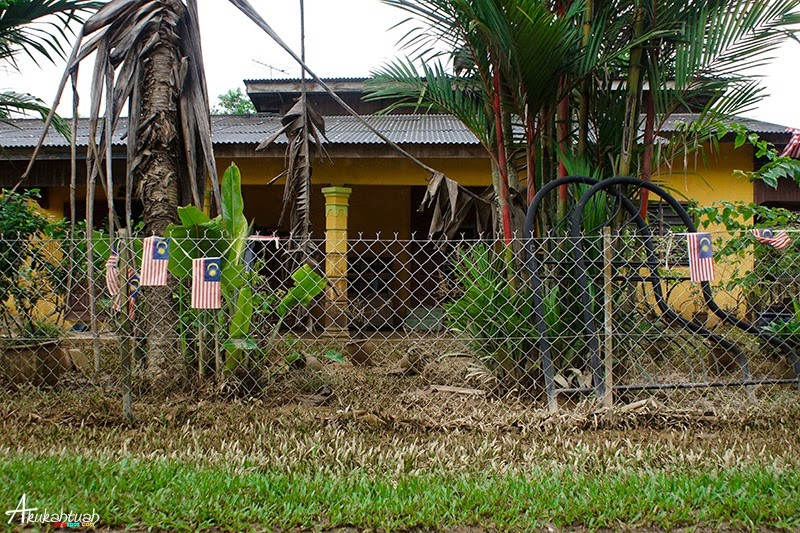 DSC00505