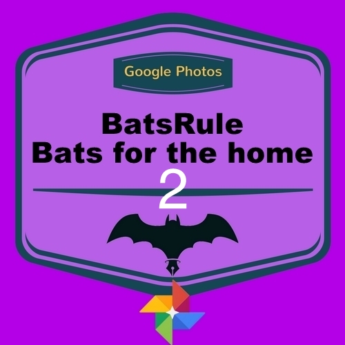 Bats for the Home2