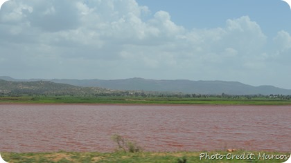 Pink water