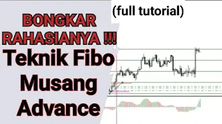 Teknik Fibo musang advance