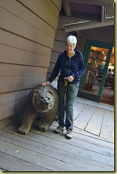 Muir Woods Bear
