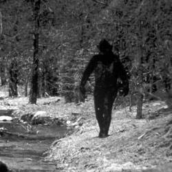 Asal-usul misteri Bigfoot