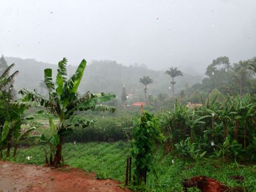 Segunda-feira começa com chuva no Ceará