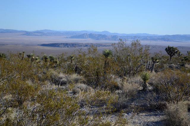 low ridges to the northeast