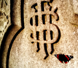 picture of grave and red admiral butterfly