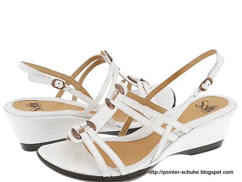 Pointer schuhe:schuhe-291703