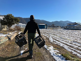 【20240109】雪解け