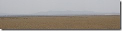 Lark Plains