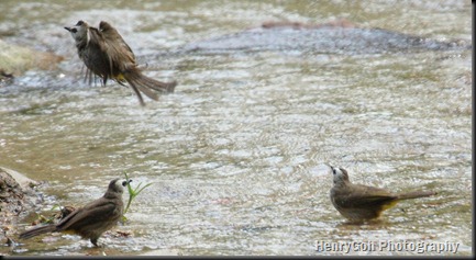 Jpg_0077-1