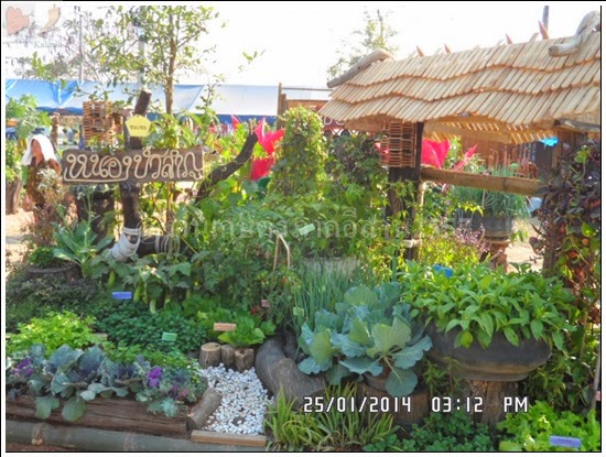 'งานเกษตรภาคอีสาน ขอนแก่น 2557