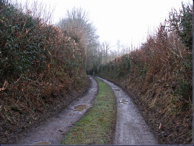 17th_february_2010