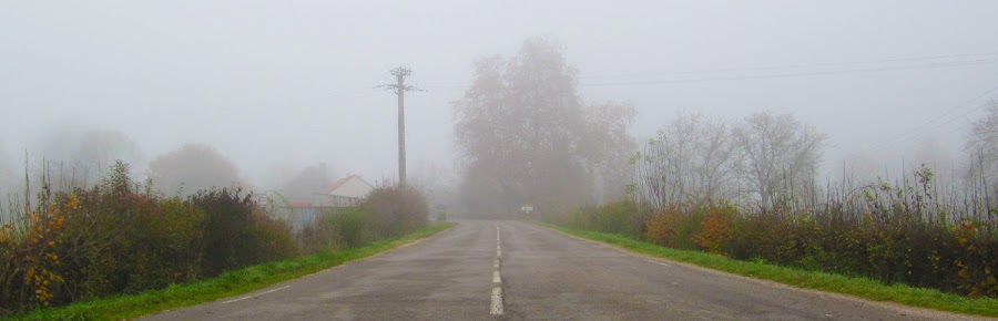 Talmay dans le brouillard