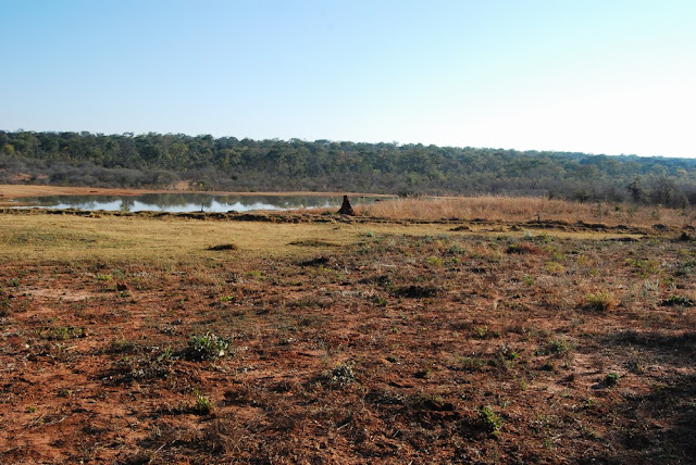 un point d’eau près de notre camp, lui aussi éclairé la nuit