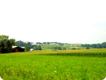 6-land