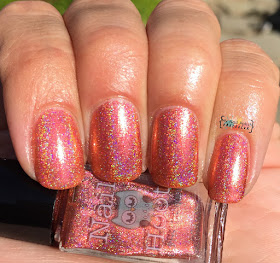 Nail Hool Leviticus Holo'd