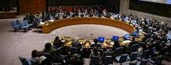 UN Security Council