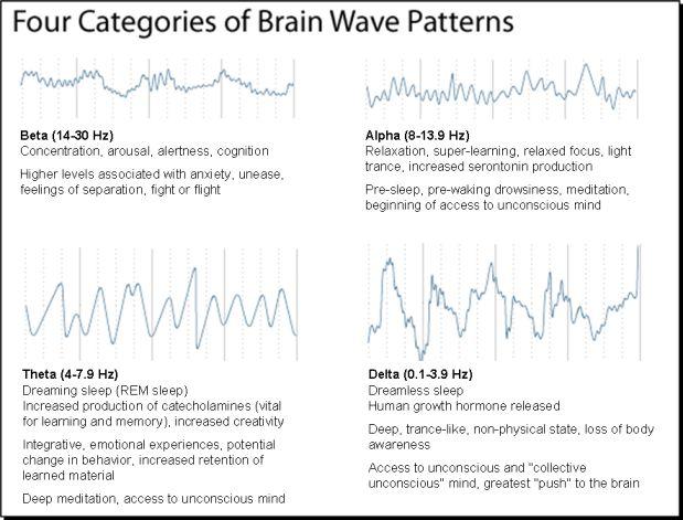 Brain Waves8