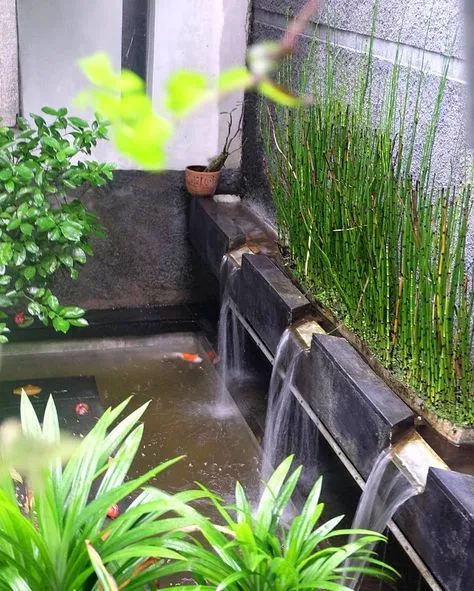 Kolam Ikan Kecil Untuk Taman Rumah Sederhana Desain Lanskap