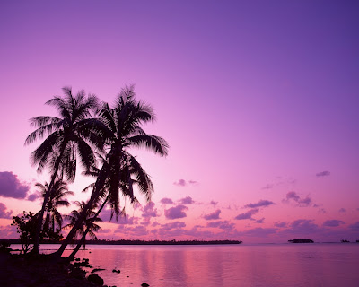 free beach sunset wallpaper. +each+sunset+wallpaper