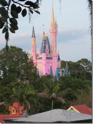 disney 2011 253