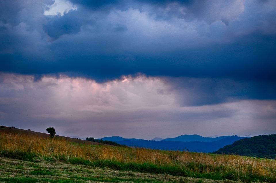 max patch summer--22