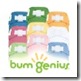 bumgenius-onesize-package_thumbnail