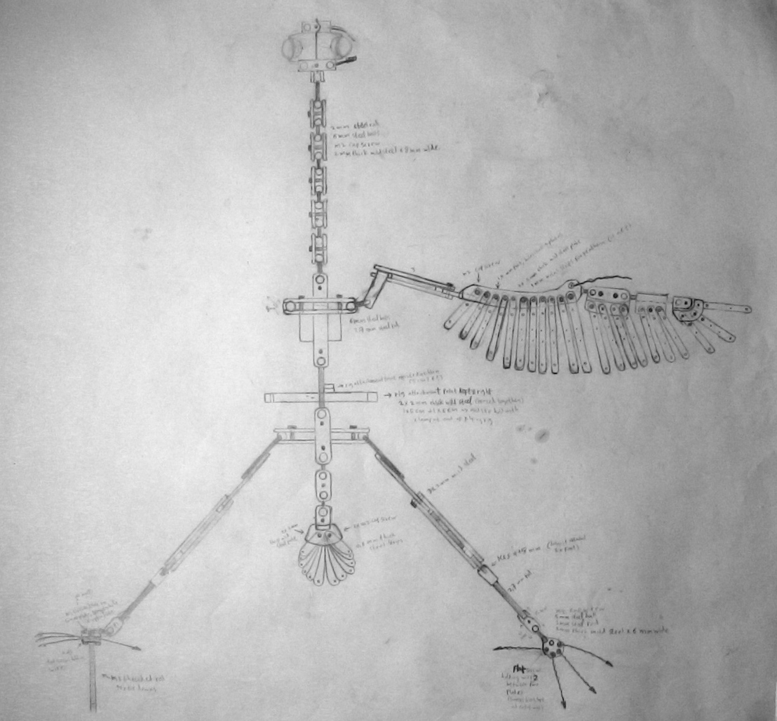 making a bird armature Scale drawings