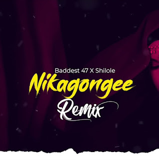 Audio Baddest 47 ft Shilole - Nikagongee Remix Mp3 Download