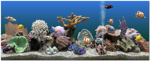 Marine Aquarium 3D Screen Saver Download