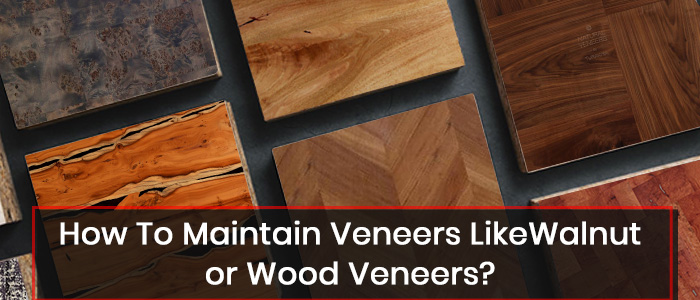 Wood Veneers