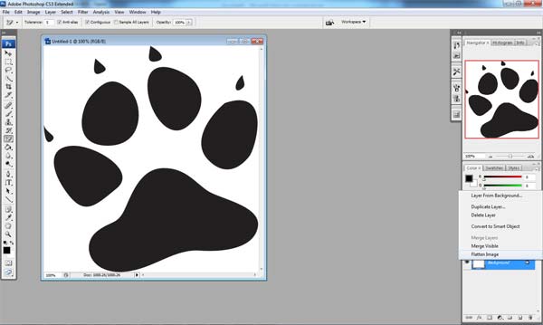 Paste Image