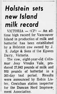 Newspaper article about Holstein setting record