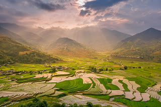 Rice terrace harvesting season adventures tour