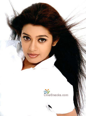 sexy Chaya Singh pictures,hot Chaya Singh Pictures,exposing Pictures of Chaya Singh,Cute Chaya Singh,Chaya Singh from South India,Actress Chaya Singh,Chaya Singh fans,Chaya Singh Pictures,Chaya Singh Biography,Chaya Singh cool Pictures,Chaya Singh cool Stuff.Chaya Singh Pics,Indian Actress Pics,Kannada Actress Chaya Singh,Tamil Actress Chaya Singh, Sexy Actress Chaya Singh Hot Photoshoot