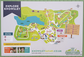 Knowsley Safari site map where are the animals on foot walking round