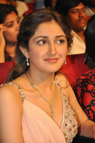 Sayesha Saigal, Akkineni Akhil's debut movie Actress Pic