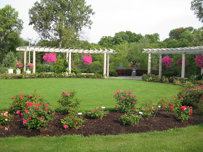 Below is a shot of our rose garden with pergola in the background