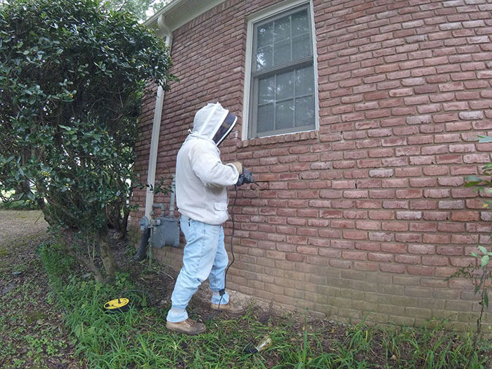 A Honeybee Rescue And Relocation Organization Shares Its Unbelievable Discovery After Removing The Bricks From A Client’s House