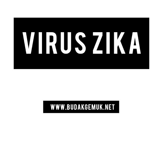 INFO BERKAITAN VIRUS ZIKA !