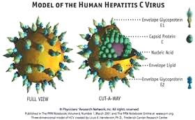 penyakit hepatitis c