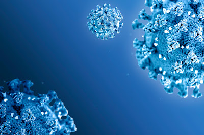 Image by rawpixel.com - magnified coronavirus