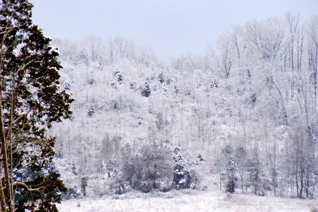 January snow in Hardin Valley